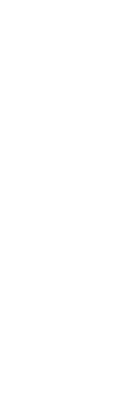 Shape Image 